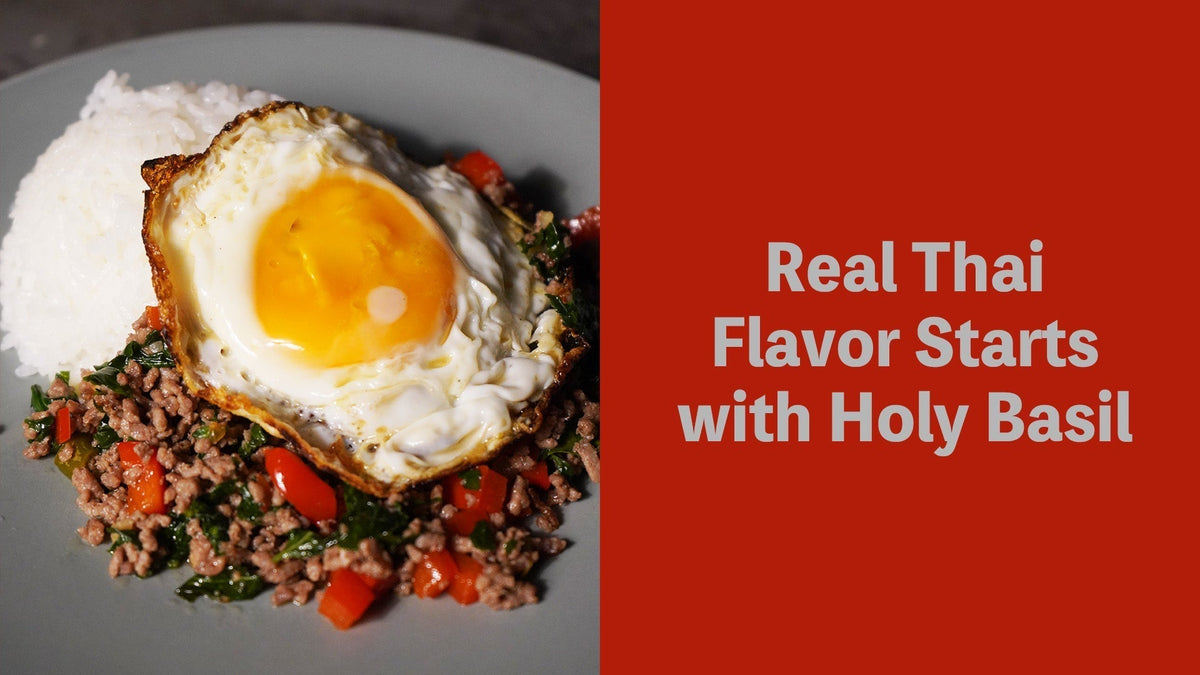 Authentic Thai Gaprao with Holy Basil: Easy Summer Recipe – Tomoe-Ya